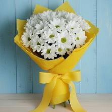 Букет Застенчивые лепестки в Тучково Букет цветов из:  Хризантемы в Тучково