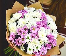 Букет цветов из:  Хризантемы #REPLACE_PRED# Тучково
