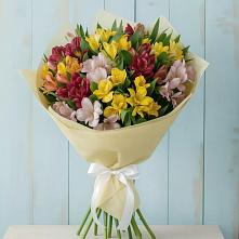 Букет цветов из:  Альстромерии в Тучково