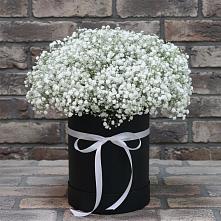 Композиция коробка гипсофил в Тучково Цветочная композиция из Гипсофила в шляпной коробке в Тучково