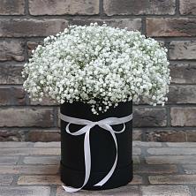 Композиция коробка гипсофил в Тучково Цветочная композиция из Гипсофила в шляпной коробке в Тучково