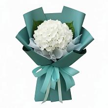 Букет цветов из:  Гортензия в Тучково